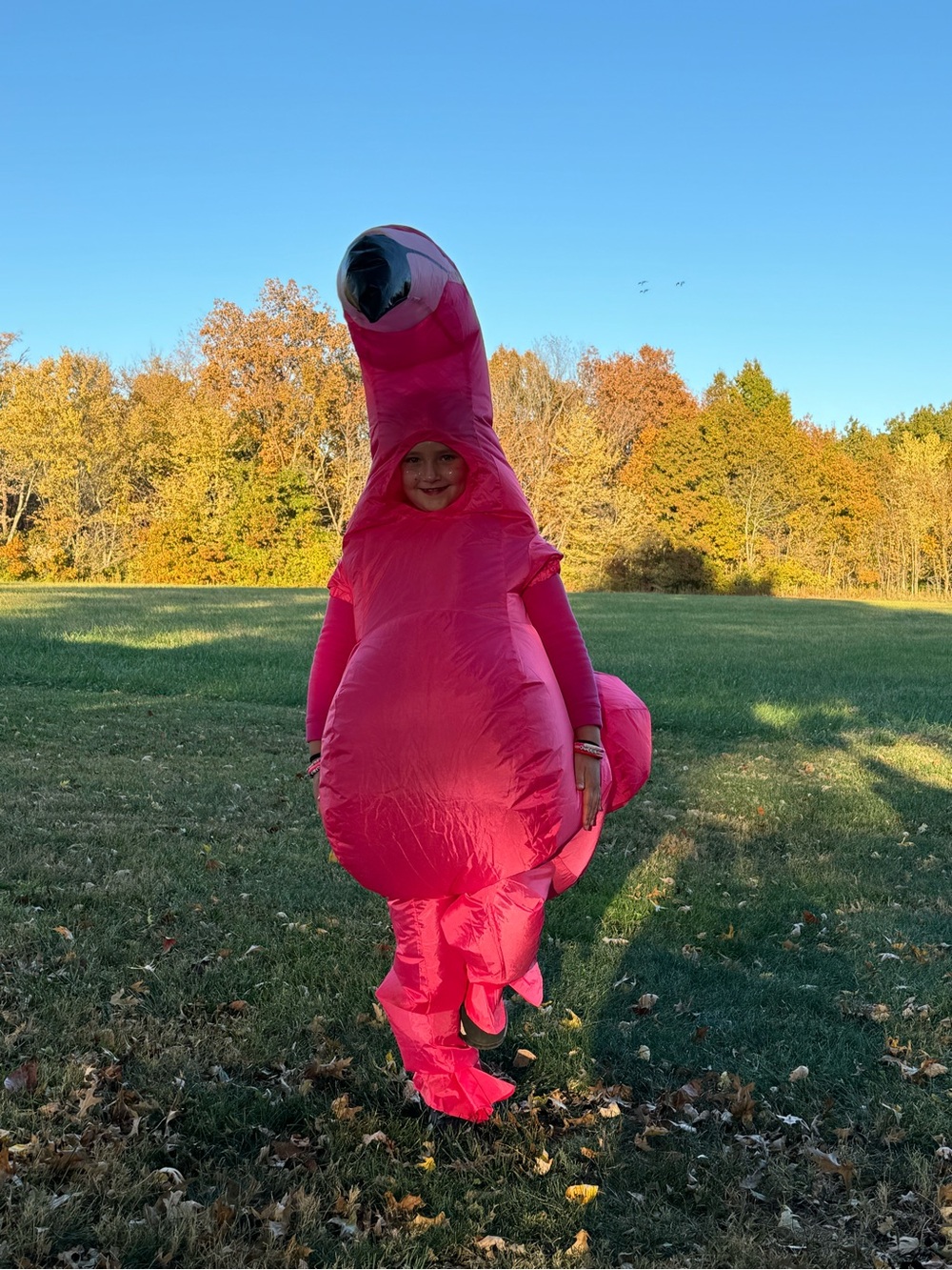 Kids Inflatable Pink Flamingo Costume - Fun Party Dress-Up 6-12 years Old